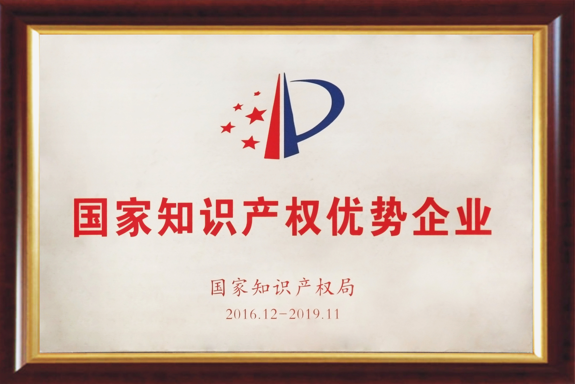 国家知识产权优势企业.jpg